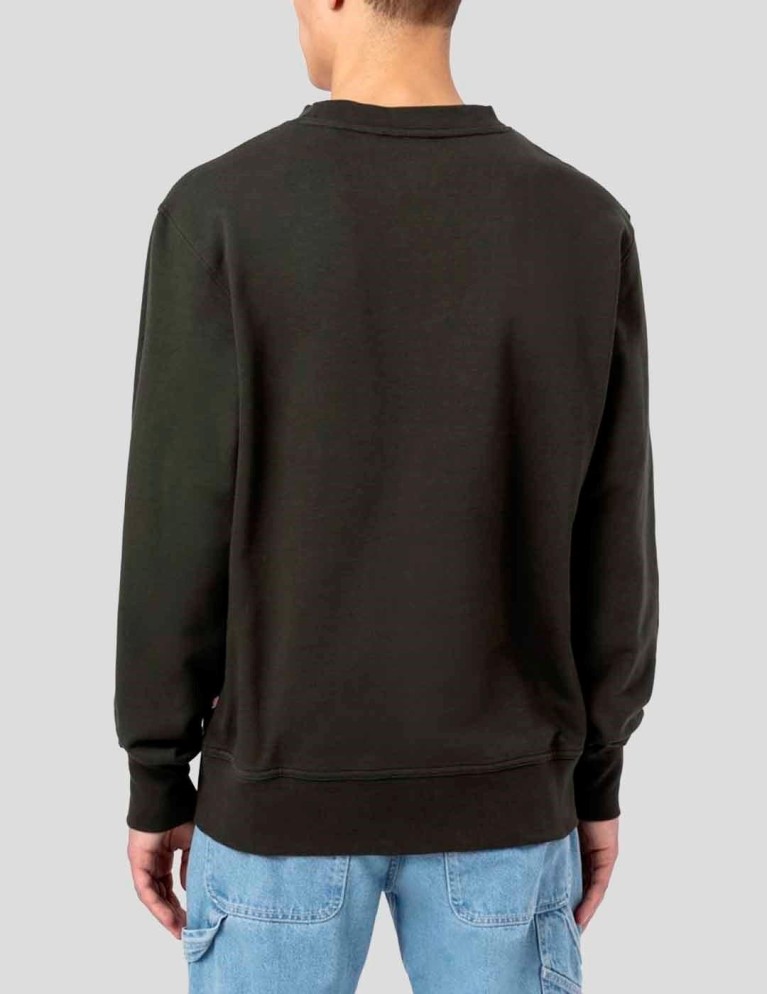 Sudadeira DICKIES mount vista sweatshirt olive green